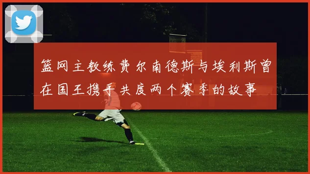 篮网主教练费尔南德斯与埃利斯曾在国王携手共度两个赛季的故事
